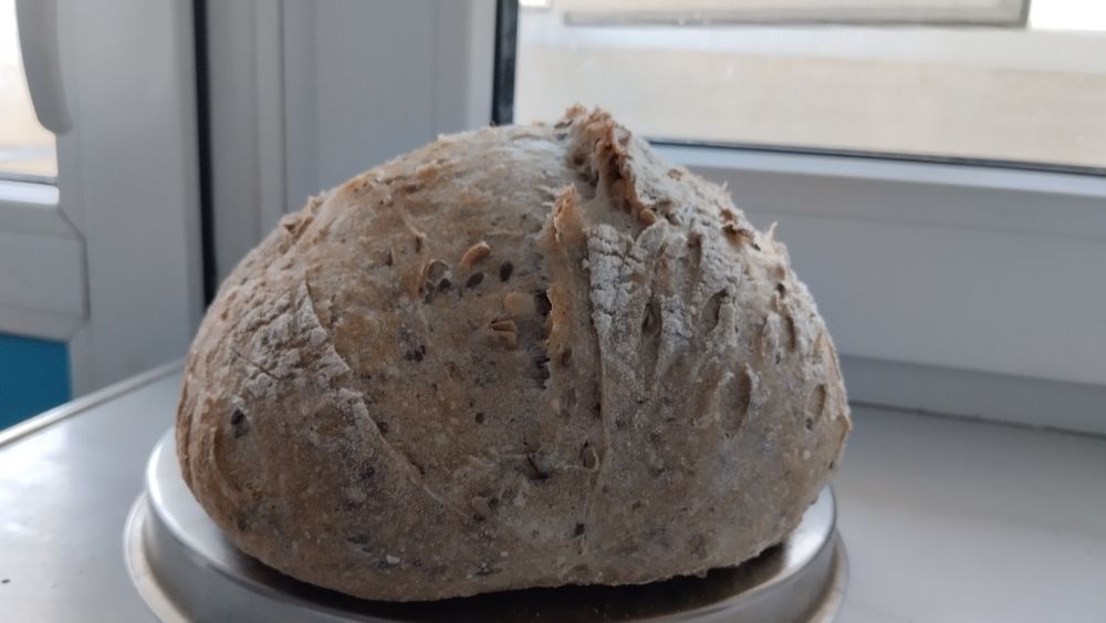 Закваскада нан үйрету курсы