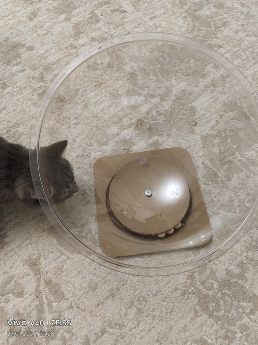 Лежак для кошки.