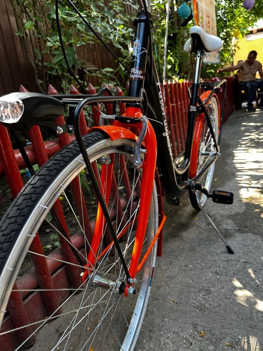 Bicicleta pino pinguino