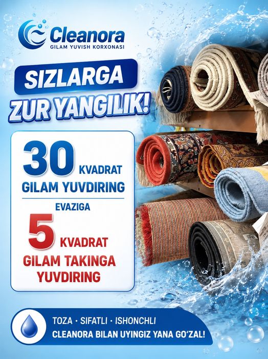 Cleanora gilam korxonasi