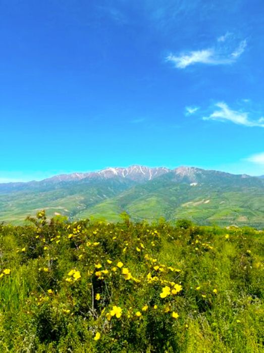 Микроавтобус в горы. Туры, экскурсии. Трансфер в аэропорт