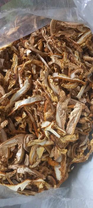 Суха манатарка. Сухи Гъби .Трюфел Пачи крак Трюфел Челадинка и Булка