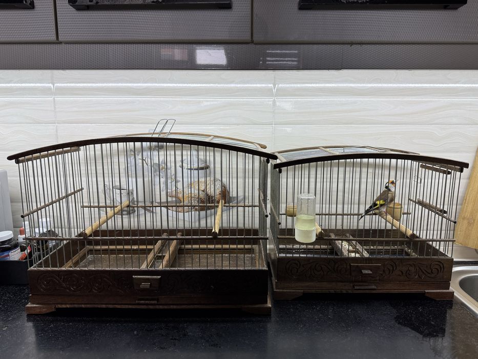 Ёнгокдан ясалган кафасла сотилади