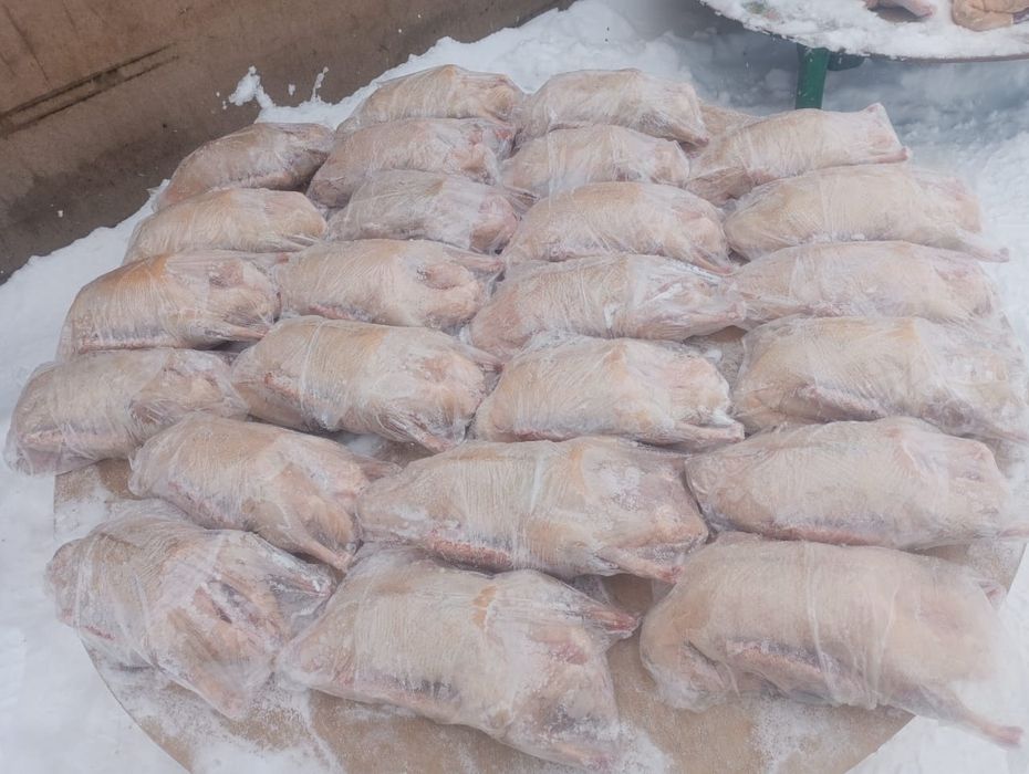 Продам гусей тушками оптом халал