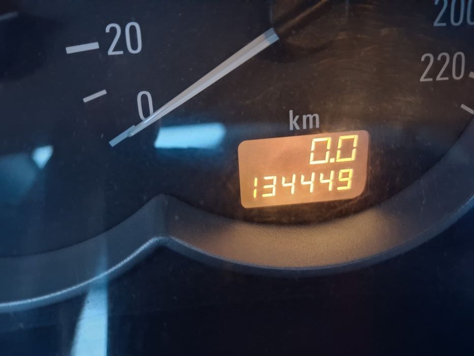 Опил тигра 2006 г