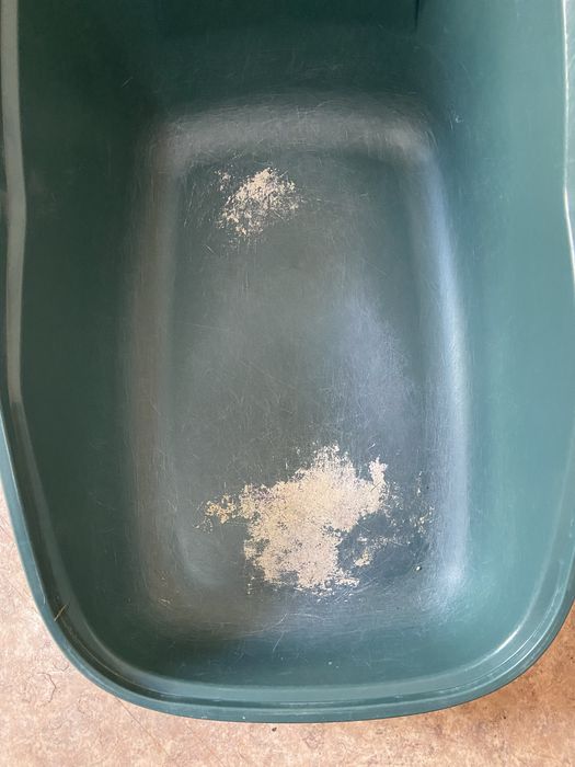 кошачий лоток б/у бренд savic