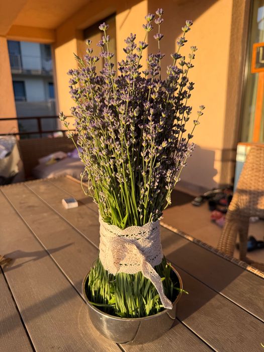 Buchete lavanda - 30 lei
