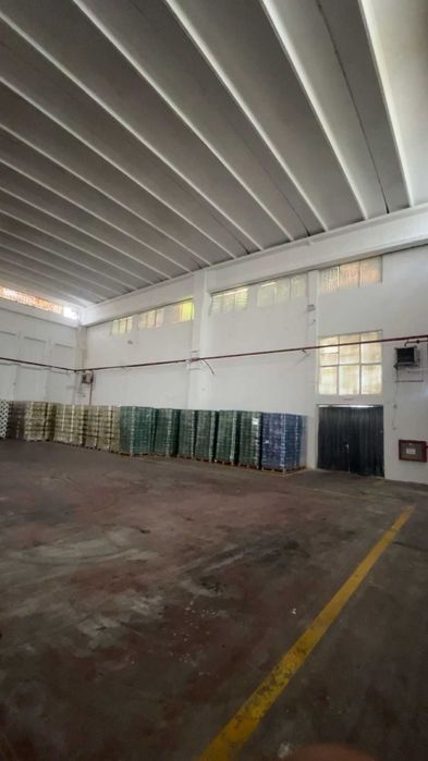 Oferta Hala / Depozit de inchiriat