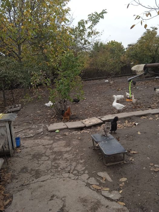 Продам дачу в развитой информационной локации для проживания