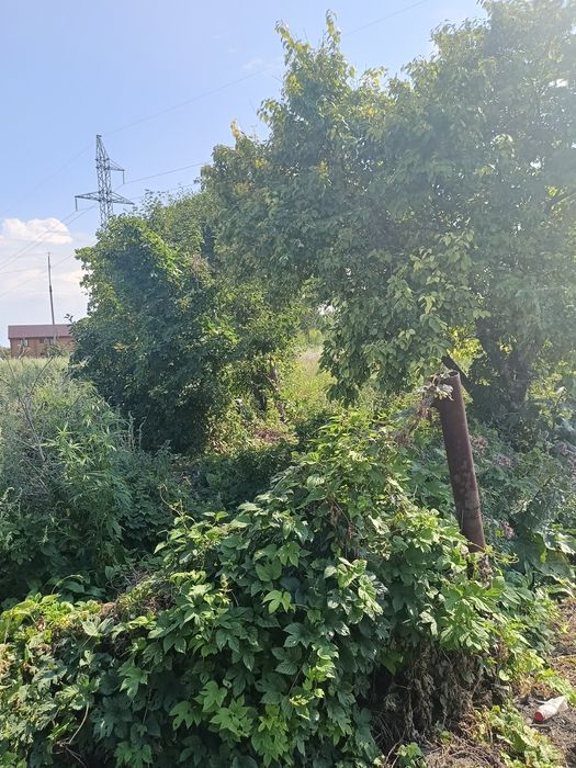 Срочно продам земельный участок
