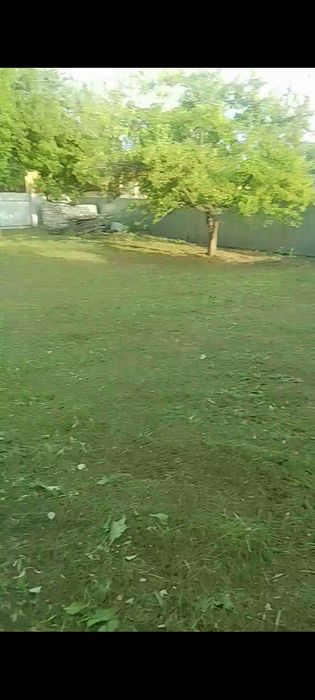 Скос Покос травы тримером