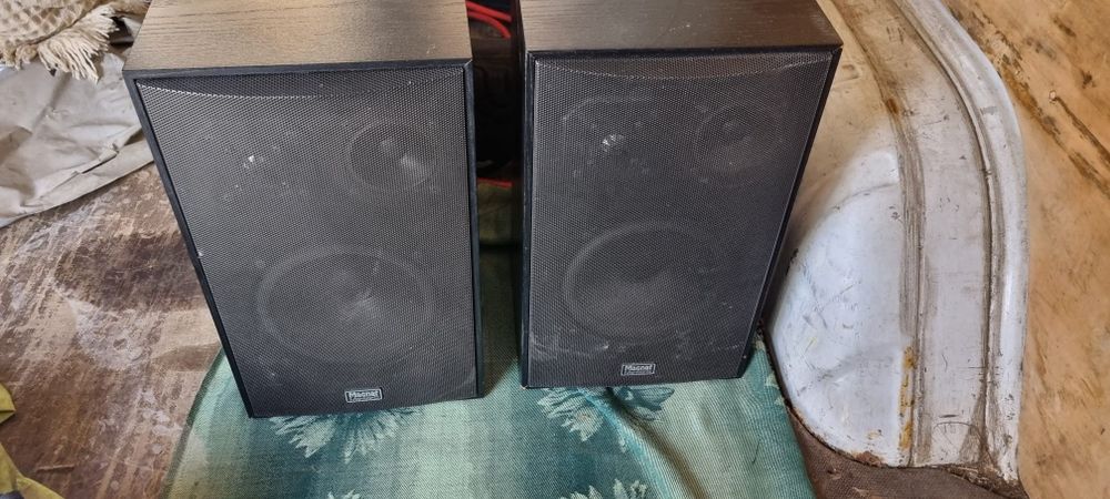 Тонколони Magnat Monitor C