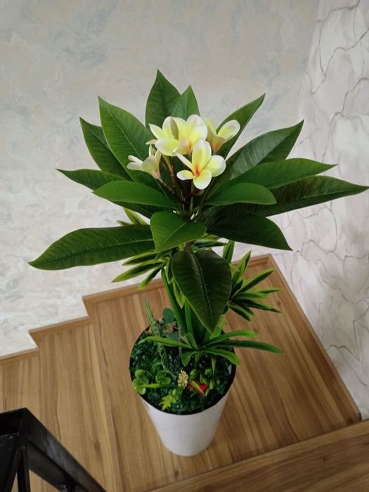 Суний гуллар. Искусственные цветы. Искусственные деревья.