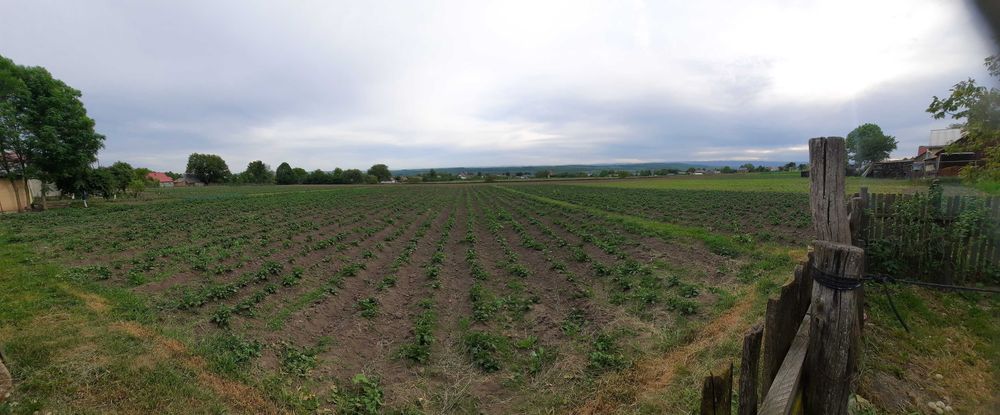 Vând casă + teren, sat Dănila, comuna Dărmănești
