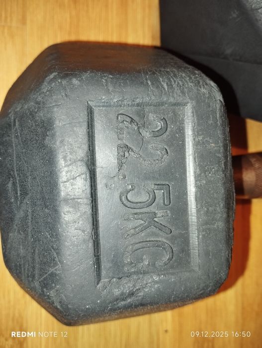 Set două gantere de 22,5 kg