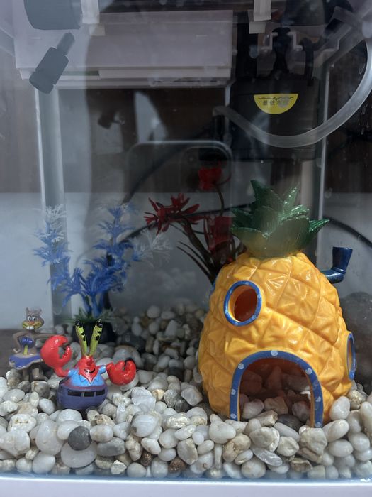 Аквариум 5 литр 30 см