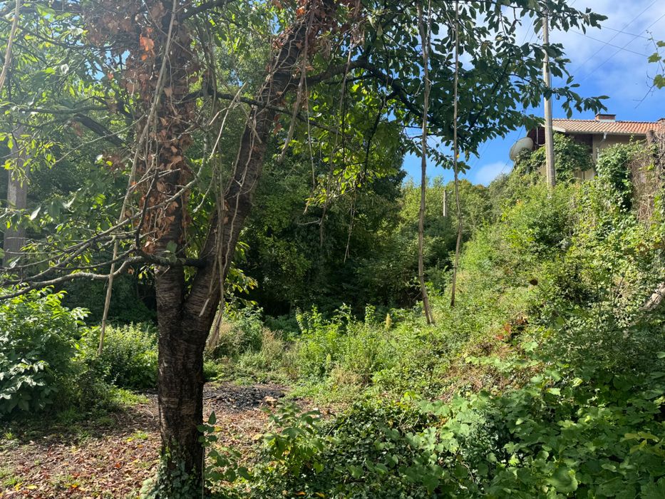 Продава се Къща в София, Орландовци - 1175 кв.м за 49 €/кв.м - Снимка #12