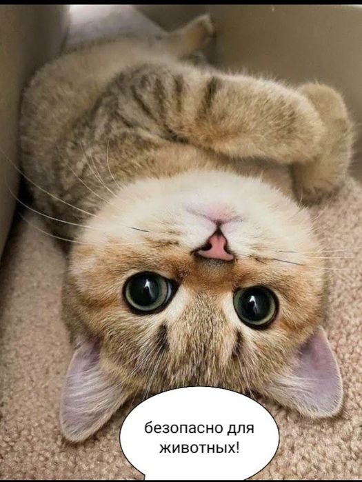 Диваны кресла стулья матрасы