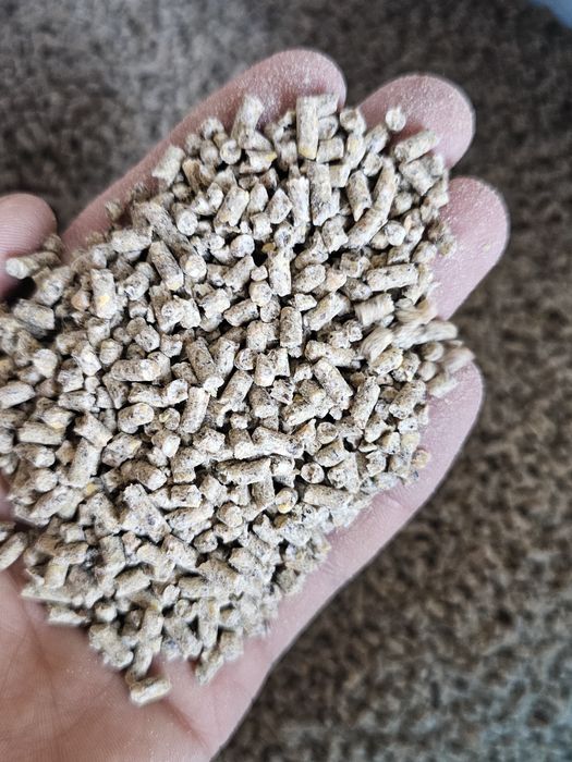 SmartFeed Құрама жем – Несушкаларға  Арналған