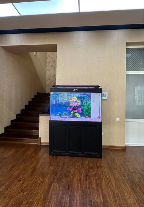 Buyurtma asosida akvarium yasab beramiza