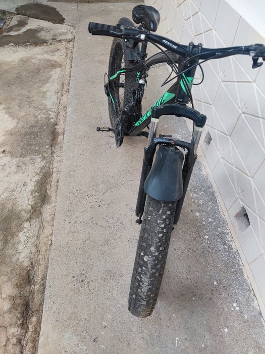 Kotta razmerli velik. 26