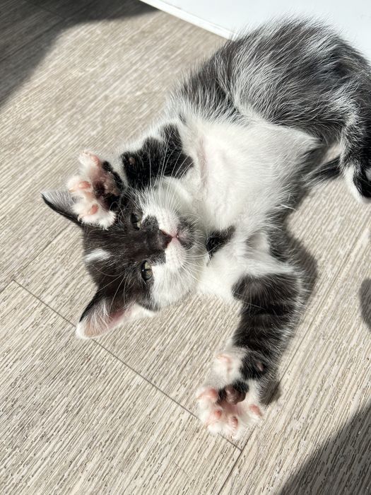 Эксклюзивное предложение