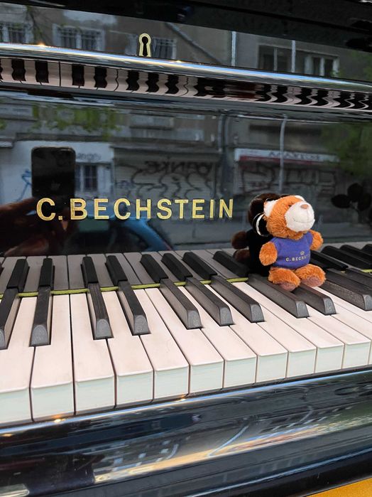 Роял C.BECHSTEIN модел M продава пиано магазин Мелодия