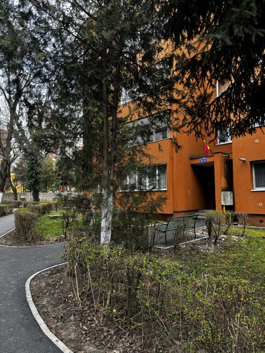 Apartament cu 2 camere, confort II, Dambu Pietros