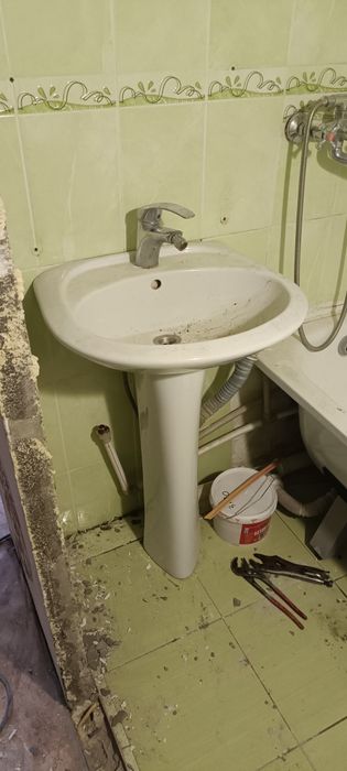 Раковина тюльпан