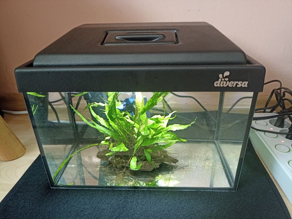 Аквариум diversa 12литра