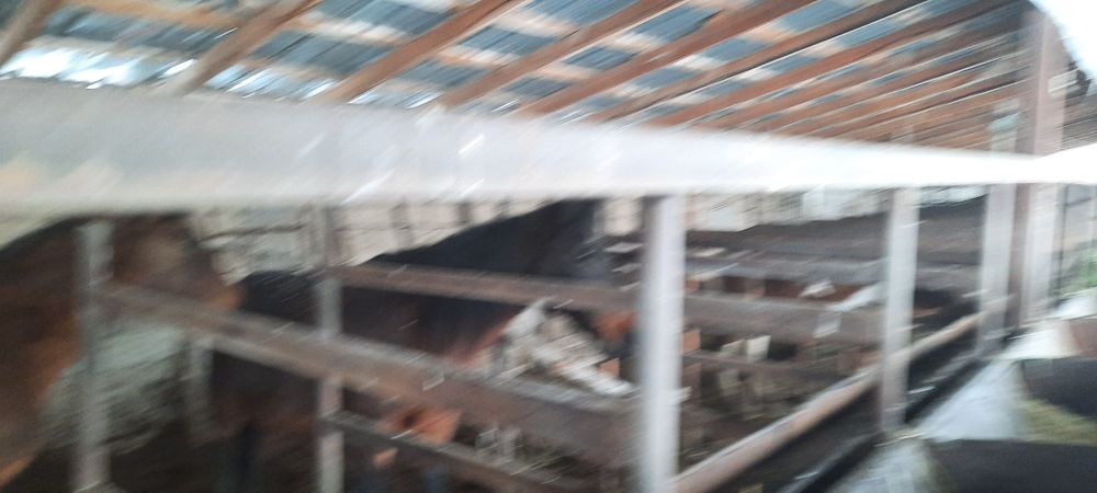 Байтал сатылады. Семіз бордақы.