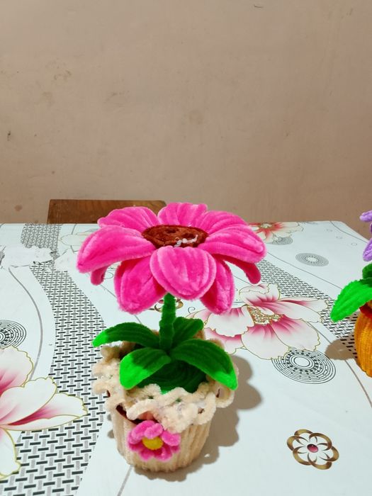 Тулы Тулы гулдер бар