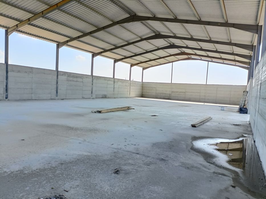 Hala pe structura metalica 11,80x26