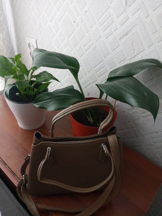 Продам Сумку в отличном состоянии