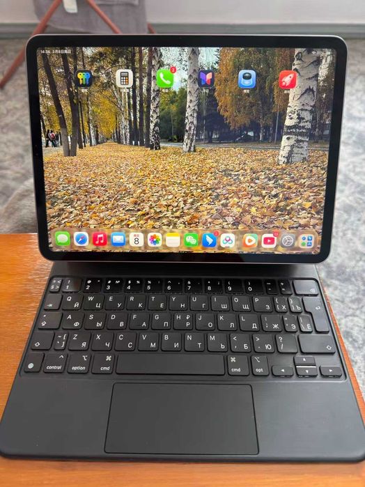 IPad Pro 11-inch (2 Generation) + Apple Magic Keybord
