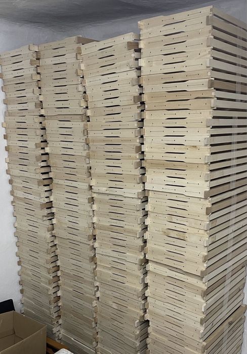 Rame de tei ( stupi)