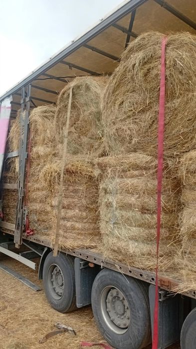 Baloti fan sau Lucerna Rotunzi 1,2 m x 1,2 m Transport inclus RO HU