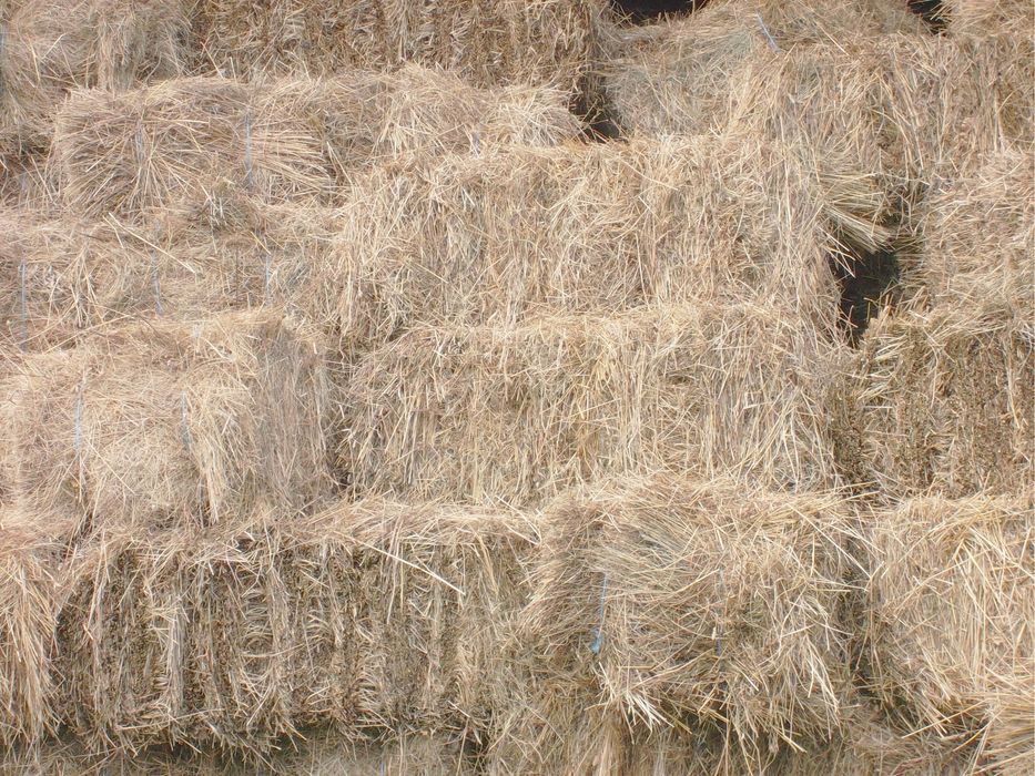 Tarate si Faina grau, Sare bulgari, Porumb boabe, Baloti Lucerna Fan