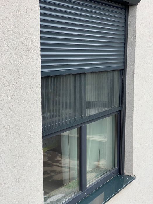 Plase insecte plisse Constanța