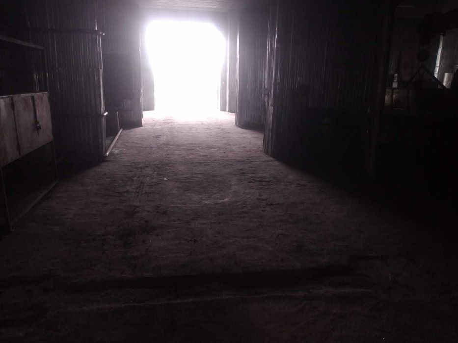 Продам здание, в центре города