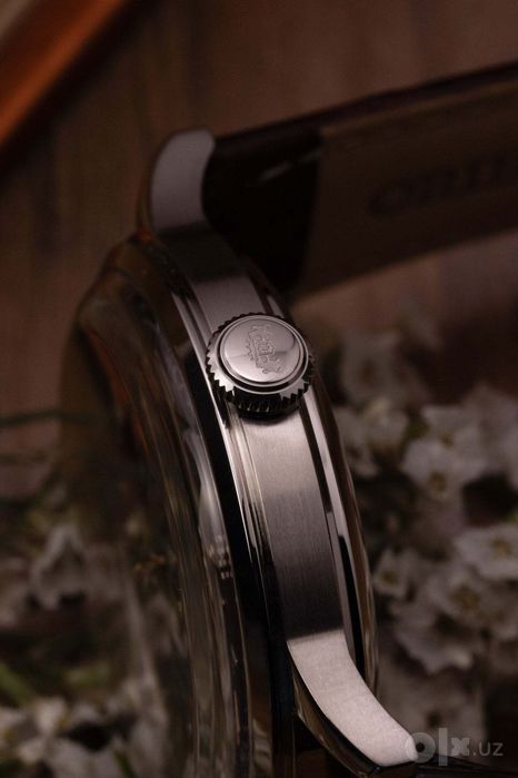 Orient Bambino Version 8 RA-AK0705R30B