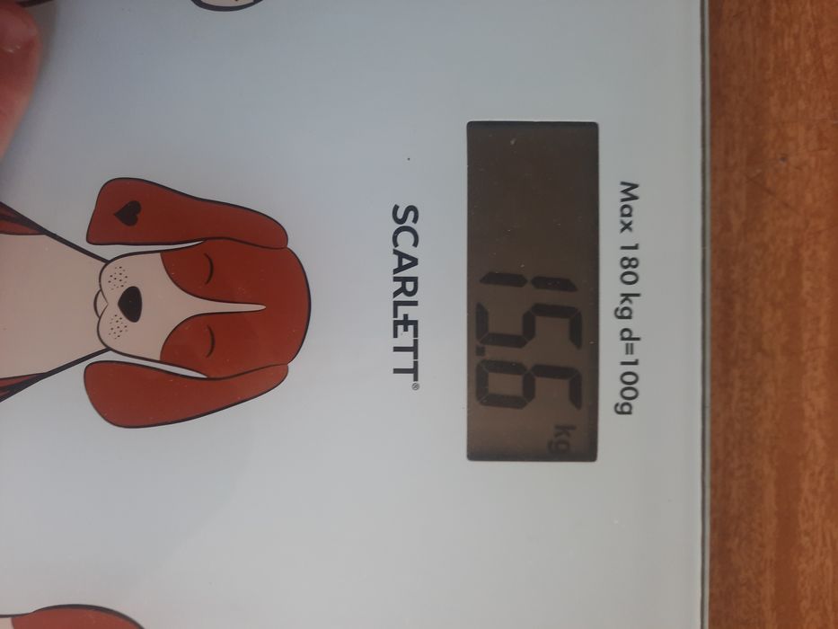 Весы рабочие Scarlett