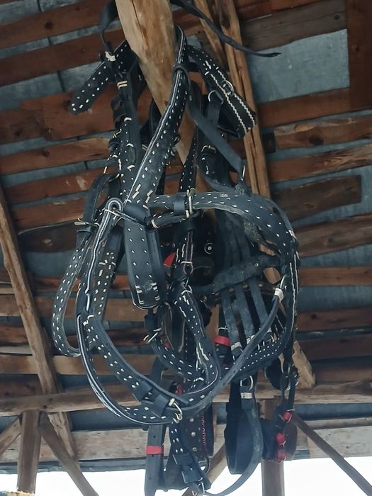 Ham nou de vânzare 1,40 cm piept