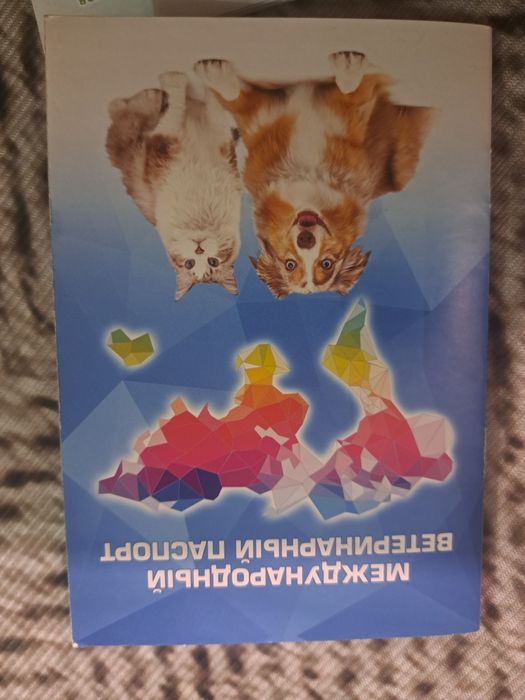 Руский  Спаниель