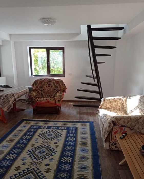 Casa de vanzare cu teren generos de 4700 mp