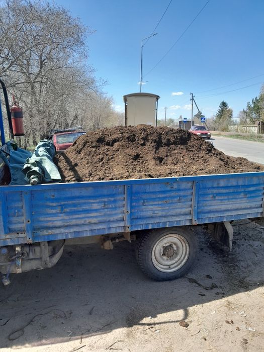 Дрова сосна ветла осина (перегной)