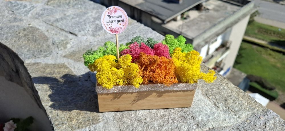 Кашпа със скандинавски мъх