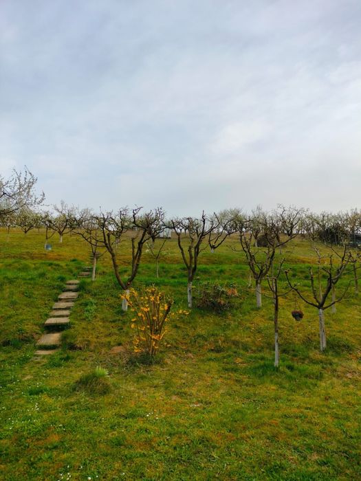 Teren intravilan 3000mp Corunca