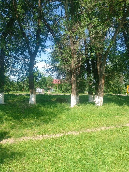 Продам 30 соток землю .