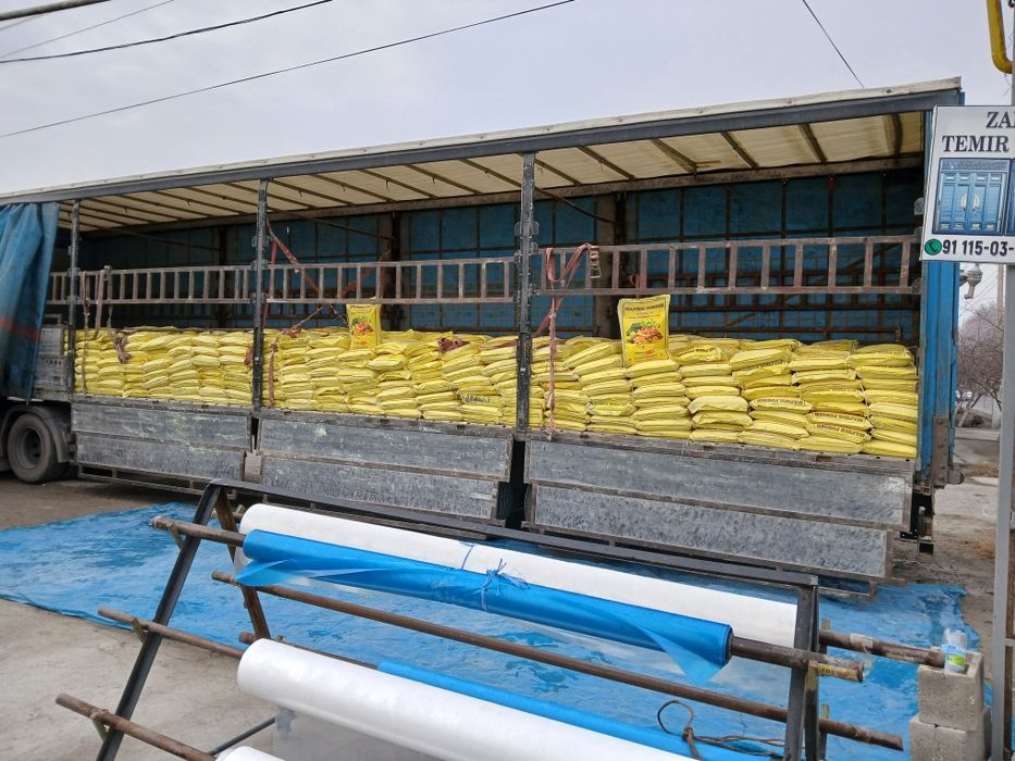 Oltingugurt kamok va molotoya